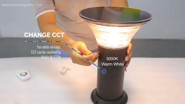 Multi-color Solar LED Garden Light with 2.4G remote for garden lighting